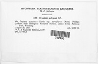 Image Associated With the Occurence